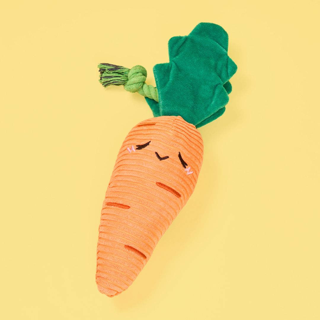 Crinkle Crops Carrot Dog Toy