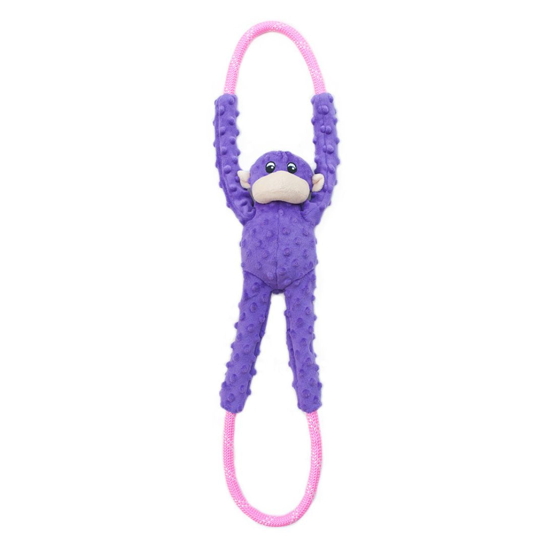 Monkey RopeTugz - Purple Dog Toy