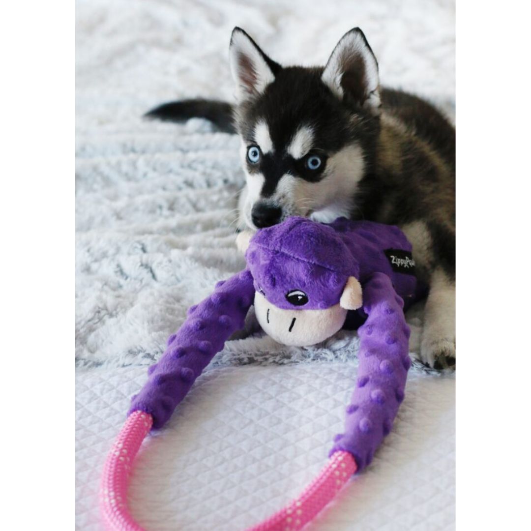 Monkey RopeTugz - Purple Dog Toy