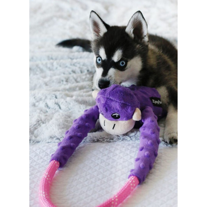 Monkey RopeTugz - Purple Dog Toy