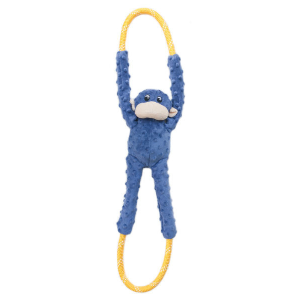 Monkey RopeTugz - Blue Dog Toy