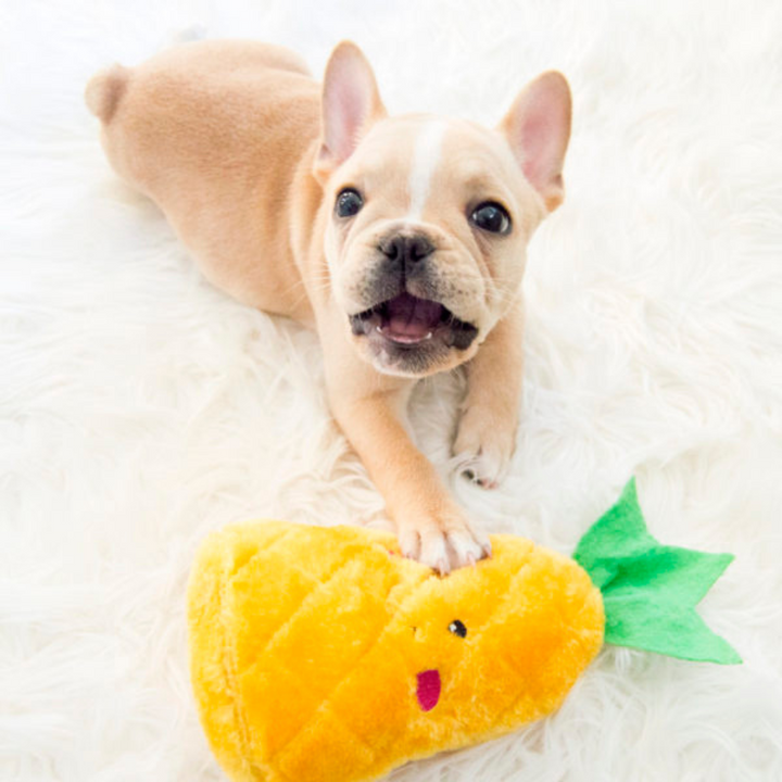 NomNomz Pineapple Dog Toy