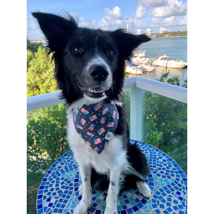 Cute dog wearing American Flag slip-on bandana