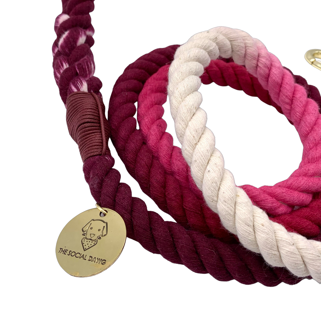 Maroon Pink Ombré Cotton Rope Dog Leash