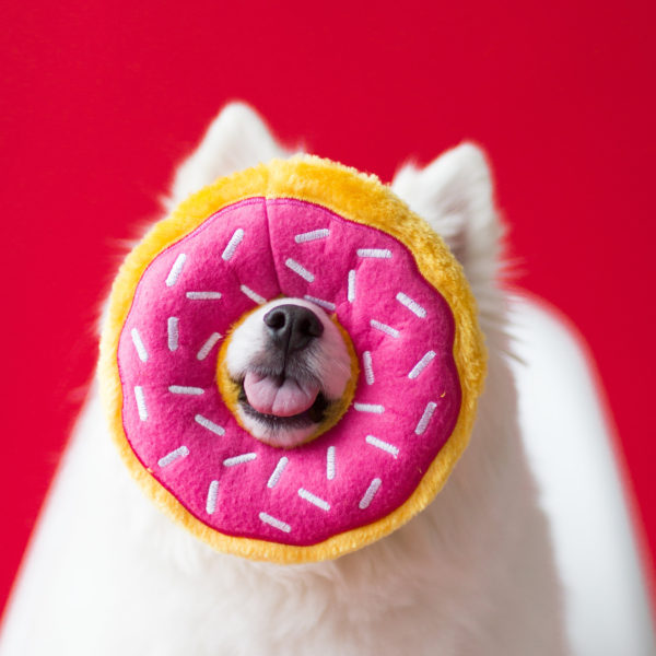 Strawberry Donut Dog Toy