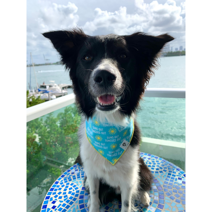 Suns Out Tongues Out Tie-On Dog Bandana