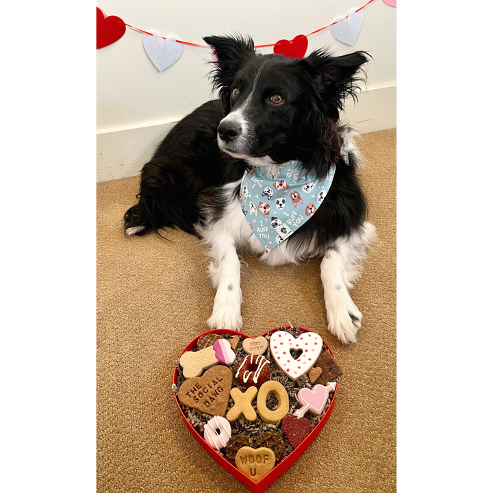 Mini Valentine's Day Heart Dog Barkuterie Board