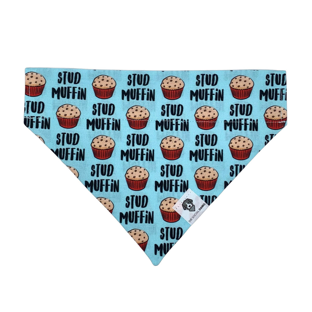 Stud Muffin Slip-On Dog Bandana