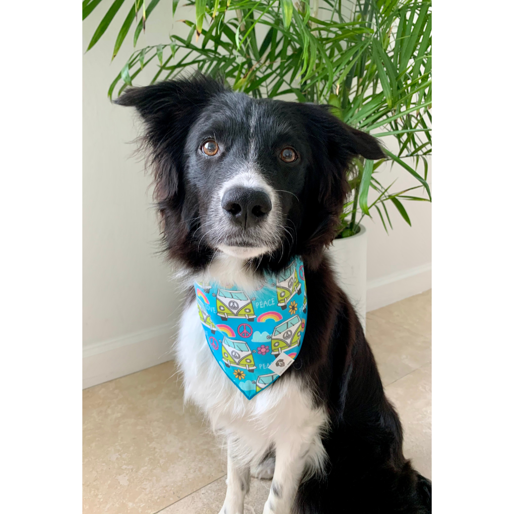 Happy camper best sale dog bandana