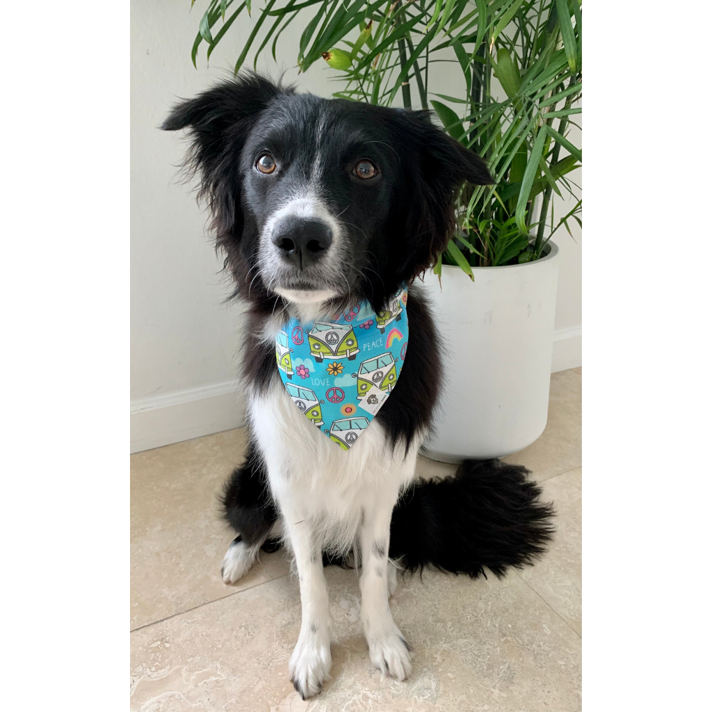 Camper Vans Slip On Dog Bandana