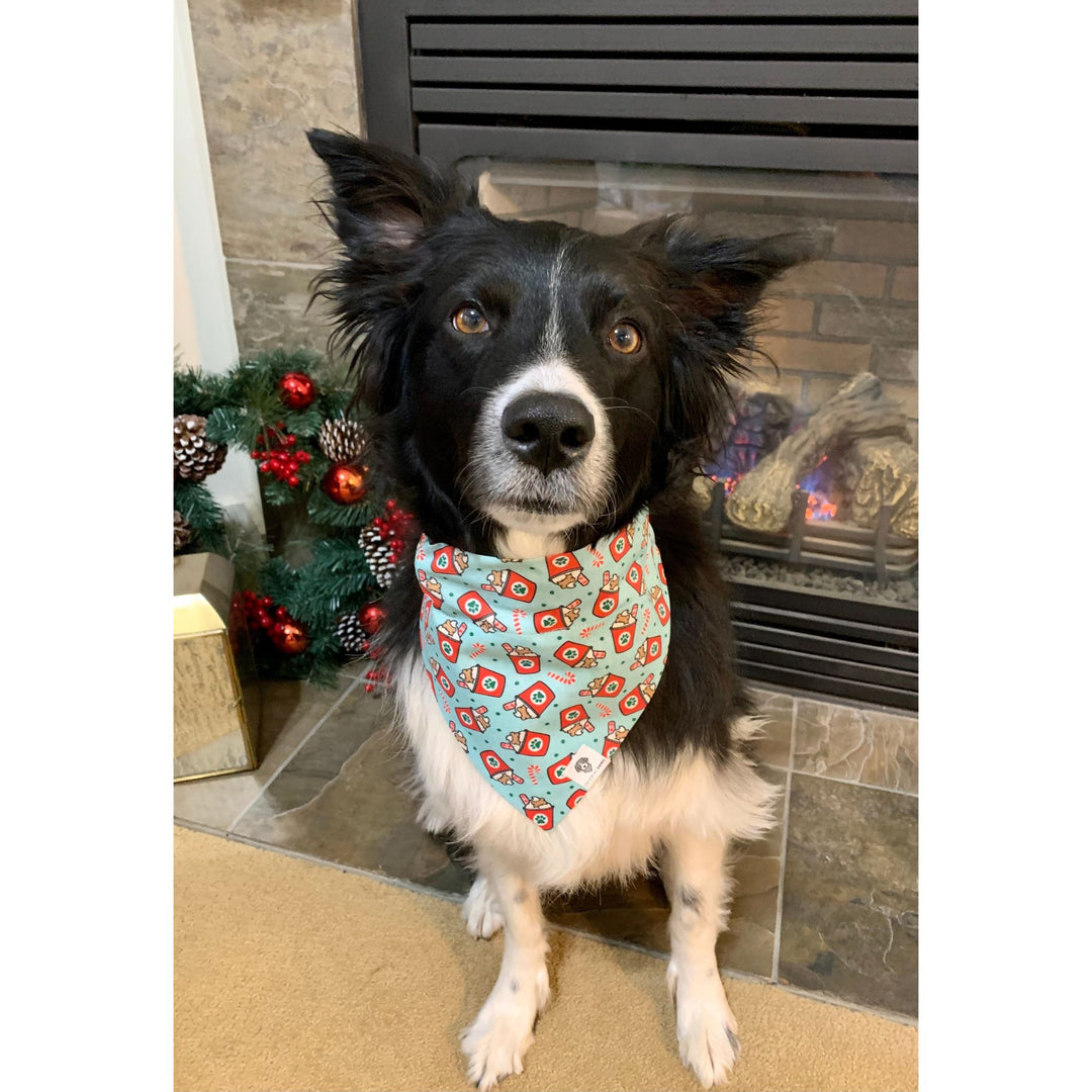 Holiday Pup Cup Slip-On Dog Bandana