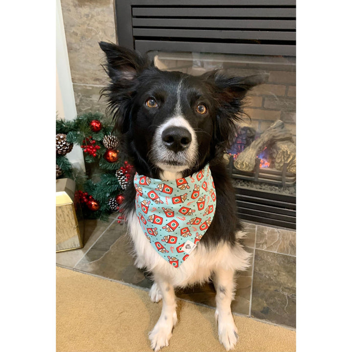 Holiday Pup Cup Slip-On Dog Bandana