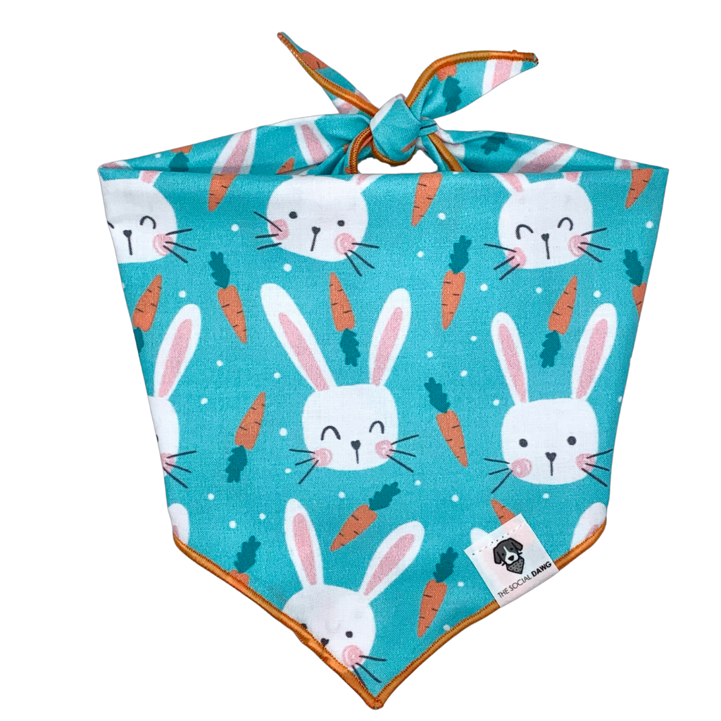 Bunny Love Easter Tie-On Dog Bandana
