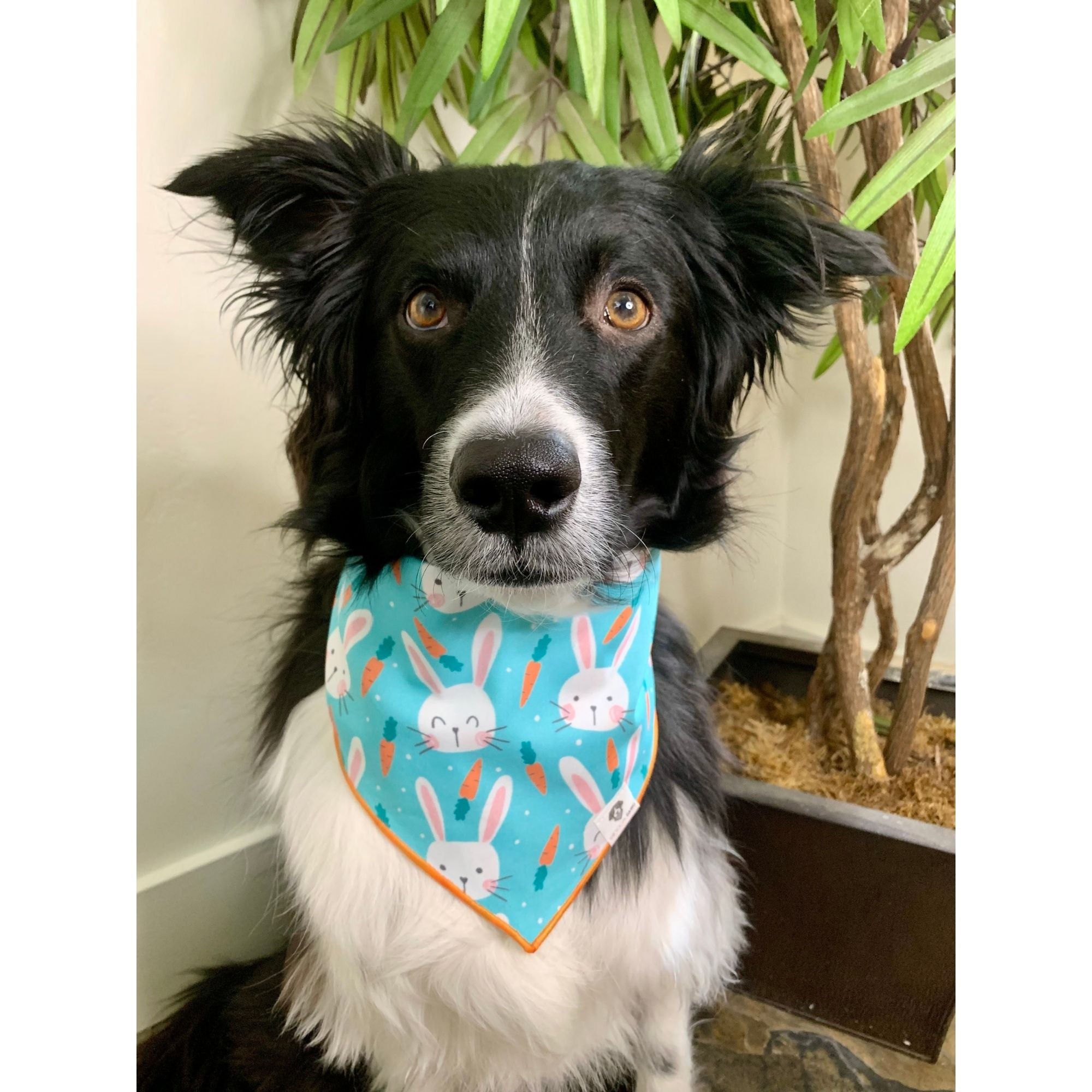 Easter dog fashion bandana