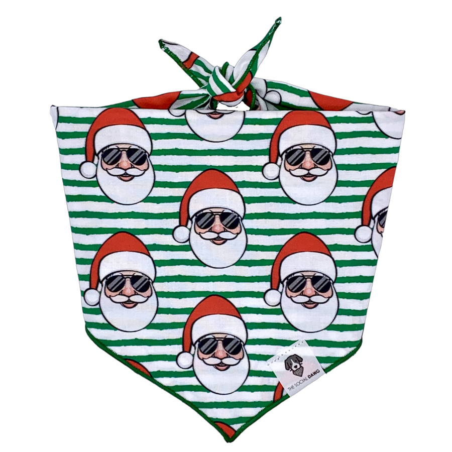 Christmas holiday Santa in sunglasses dog bandana