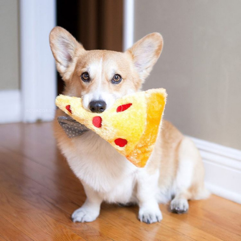 Dog Playing With ZippyPaws Pizza Dog Toy