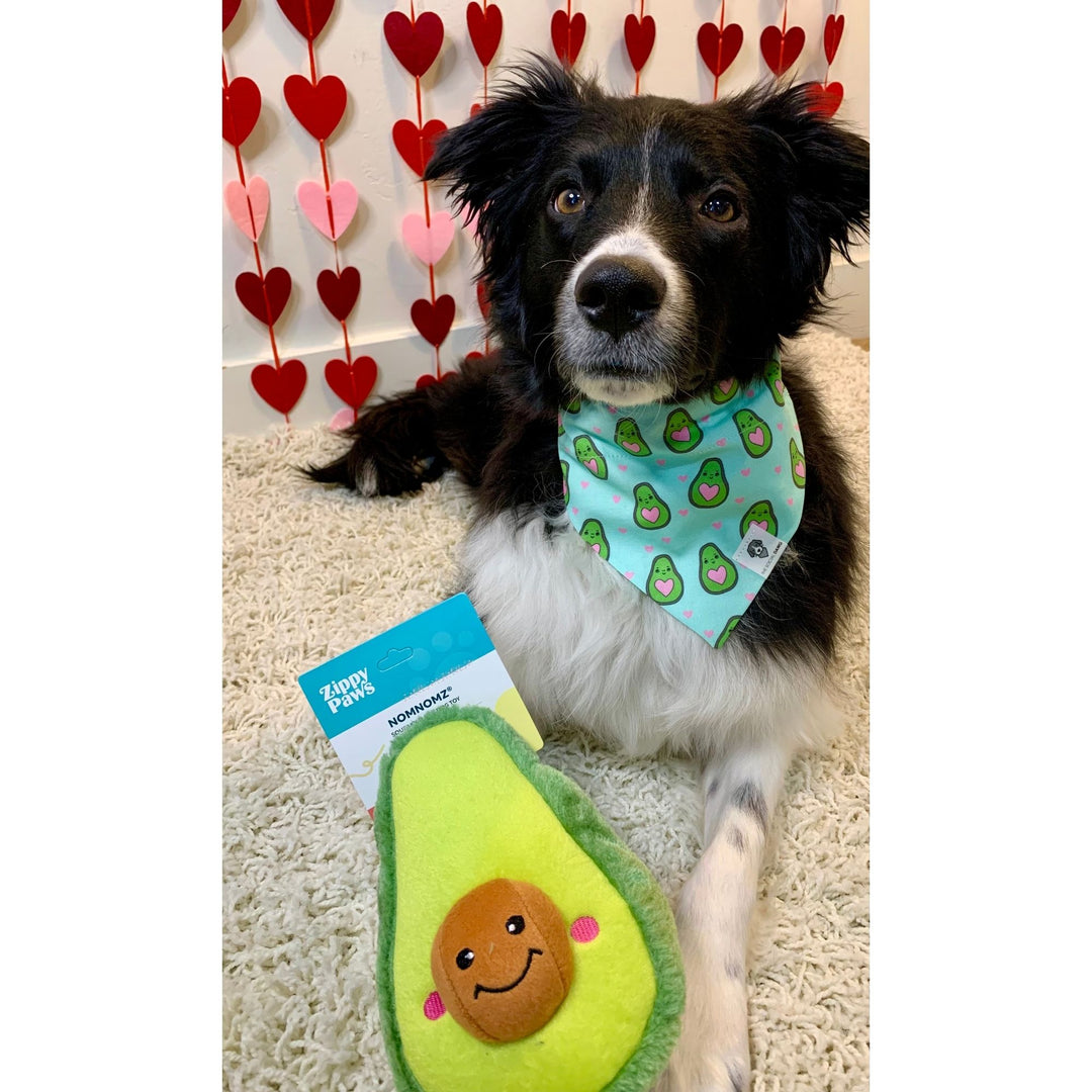 Dog wearing avocado dog bandana with avocado plush toy