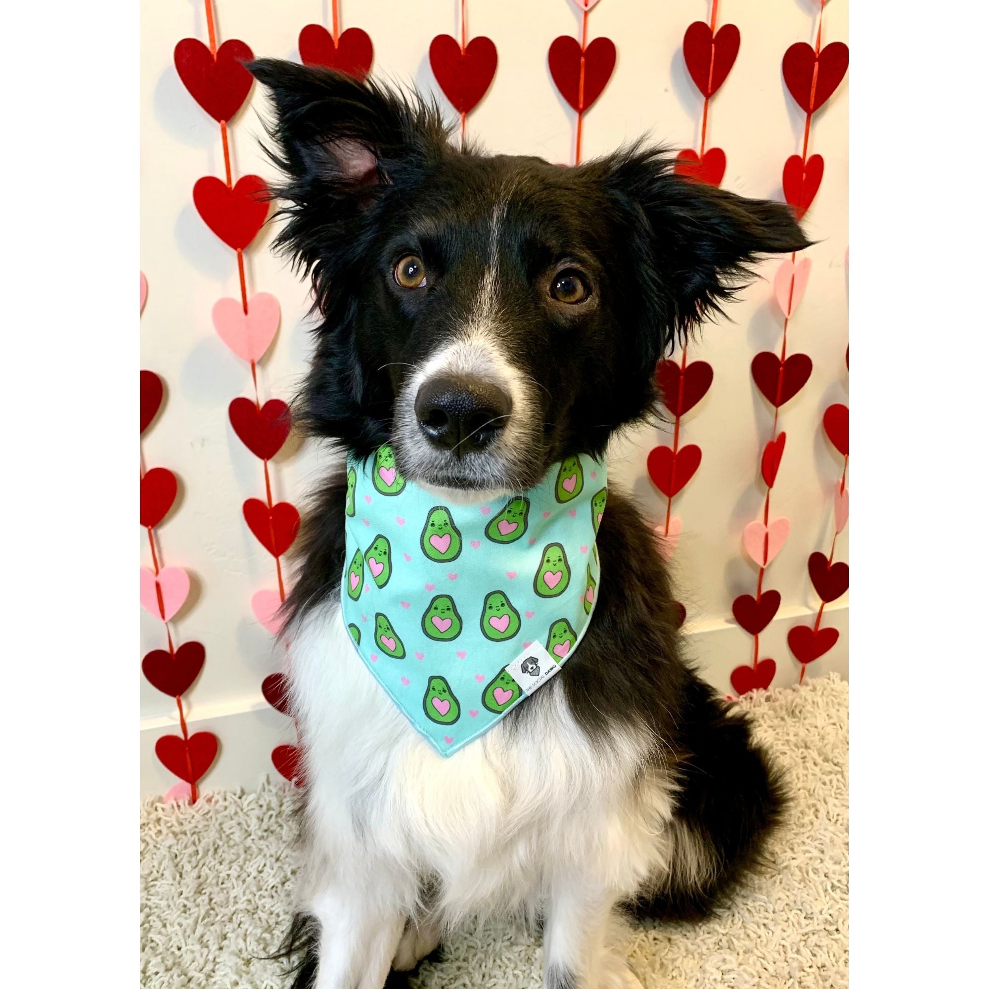 Avocado sales dog bandana