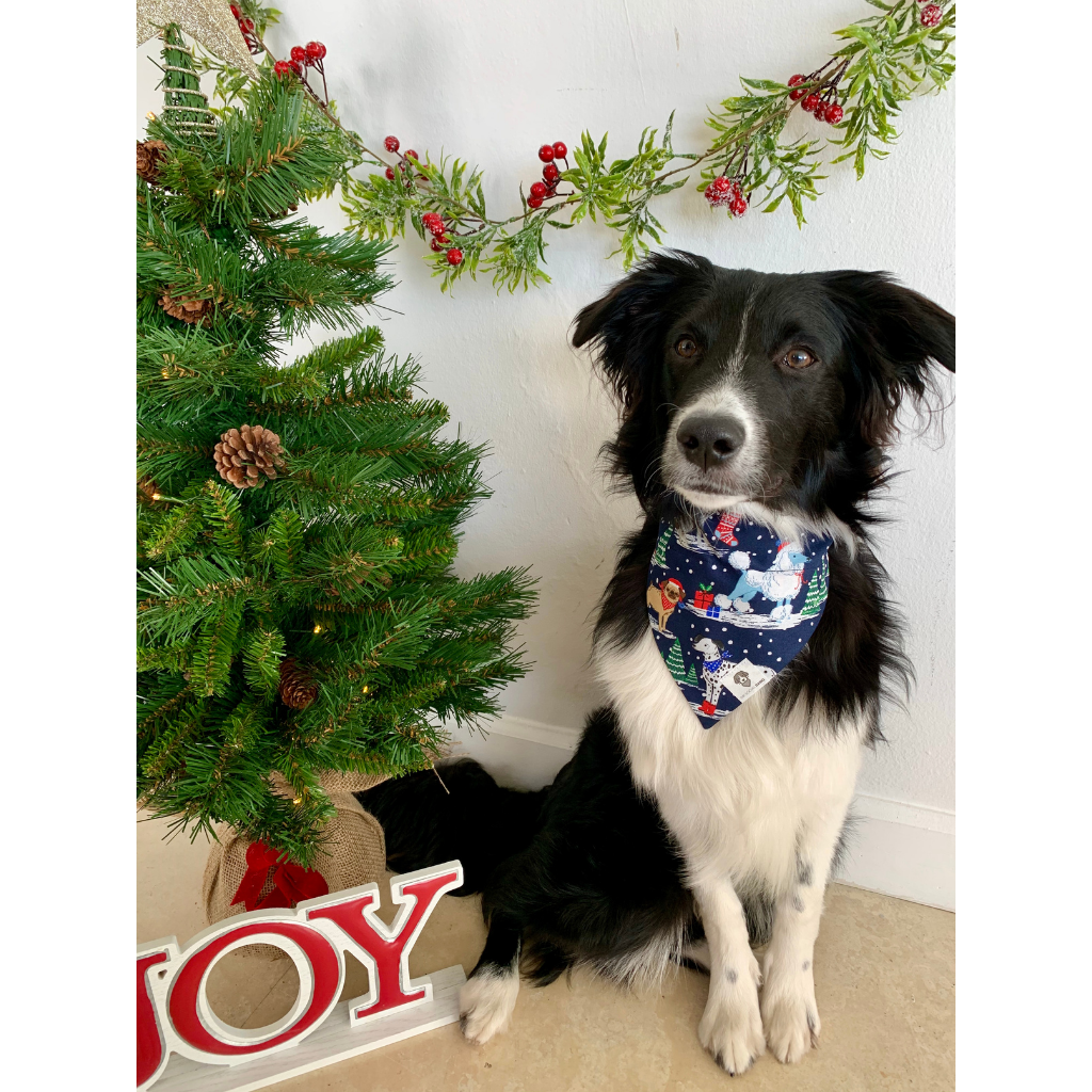 Dog wearing Christmas holiday festive dog bandana