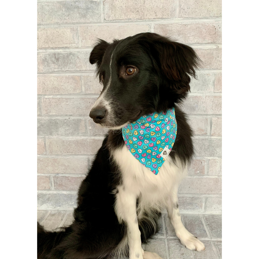 Valentines bandana hot sale