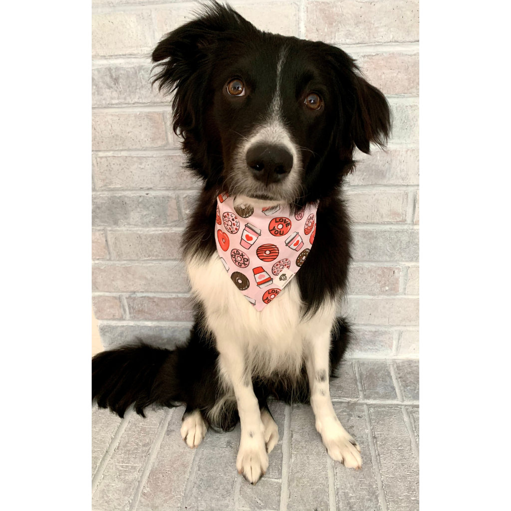 Dog wearing pink and red donuts and coffee Valentine's Day slip on dog bandana