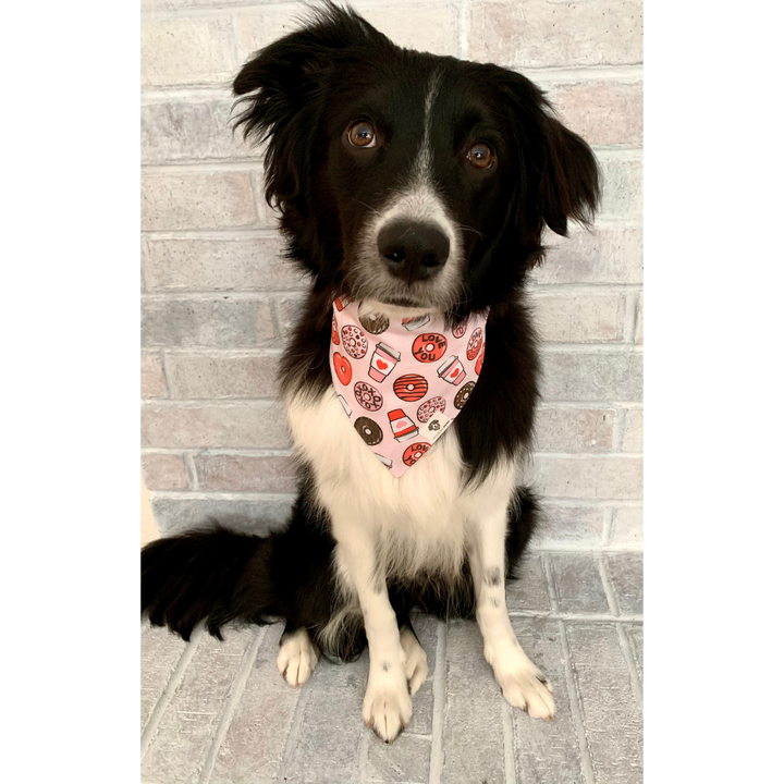 Dog wearing pink and red donuts and coffee Valentine's Day slip on dog bandana