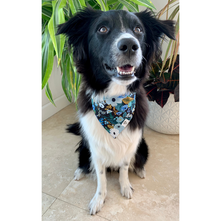 Dog wearing floral garden party bandana