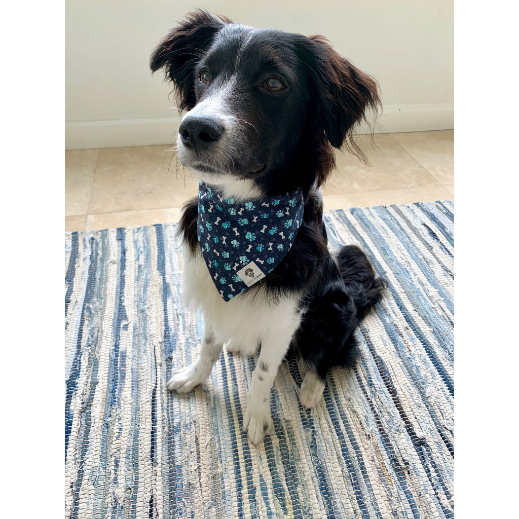 Slip on discount dog bandana