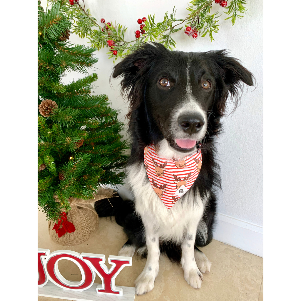 Holiday bandana sales