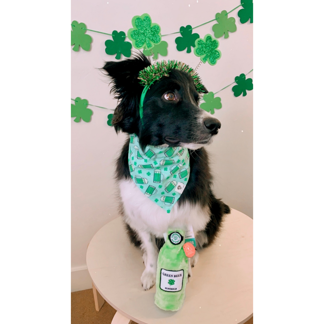 St. Patrick's Green Beer Slip-On Dog Bandana