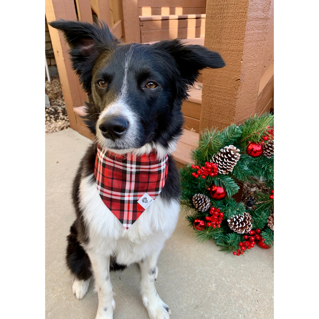 Tartan Plaid Red Christmas Slip On Dog Bandana The Social Dawg