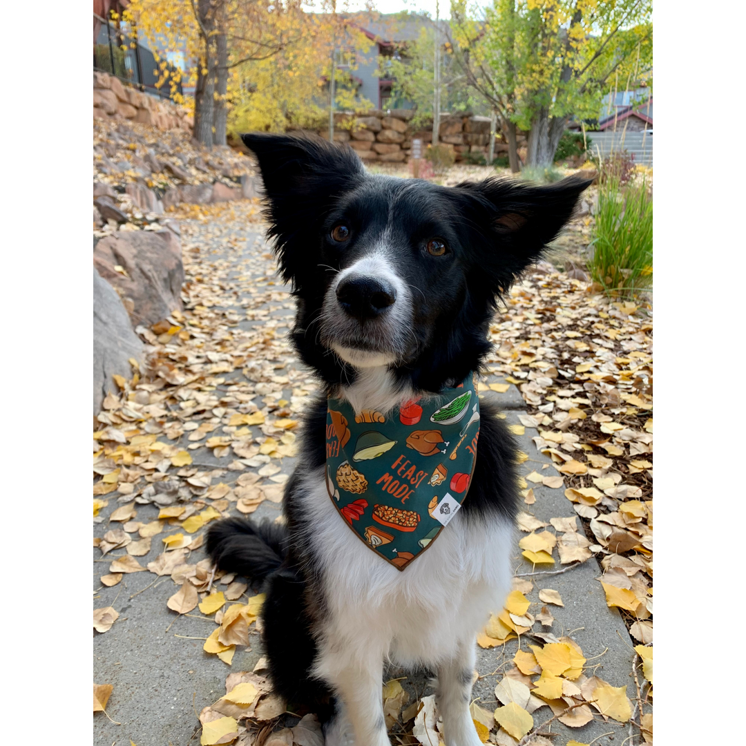 Thanksgiving dog bandana deals