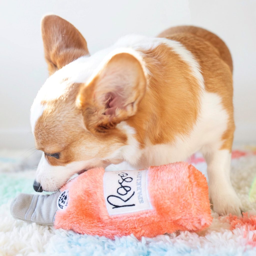 Ros All Day Happy Hour Crusherz Dog Toy Ros All Day Happy Hour Crusherz Dog Toy