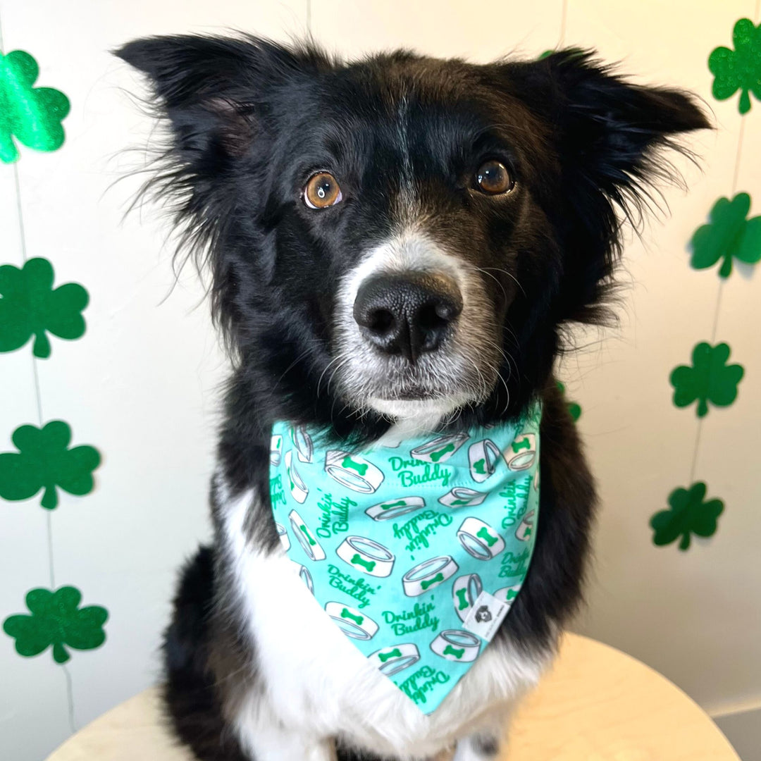 St. Patrick's Drinking Buddy Slip-On Dog Bandana