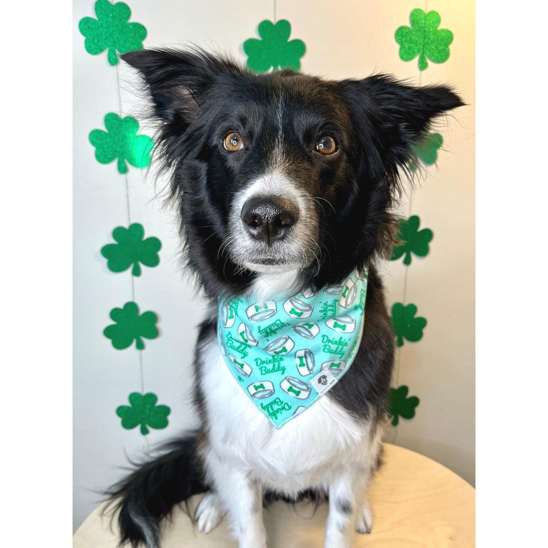 St. Patrick's Drinking Buddy Tie-On Dog Bandana