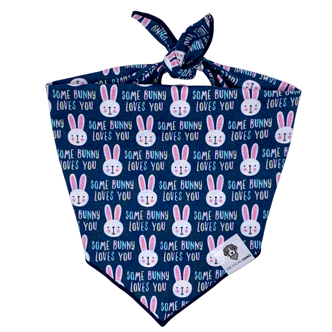 Easter bunny tie-on dog bandana