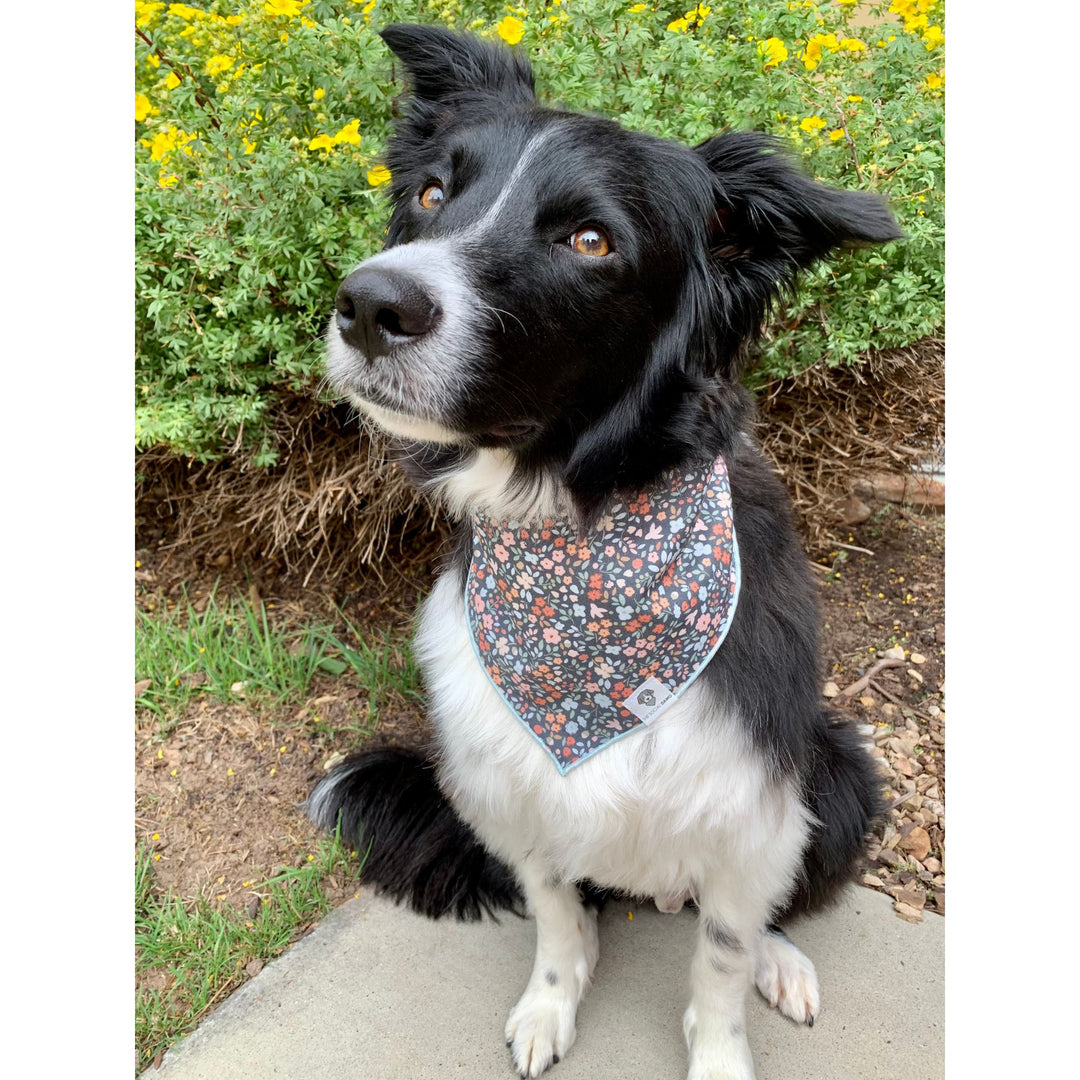 Floral Tie-On Dog Bandana