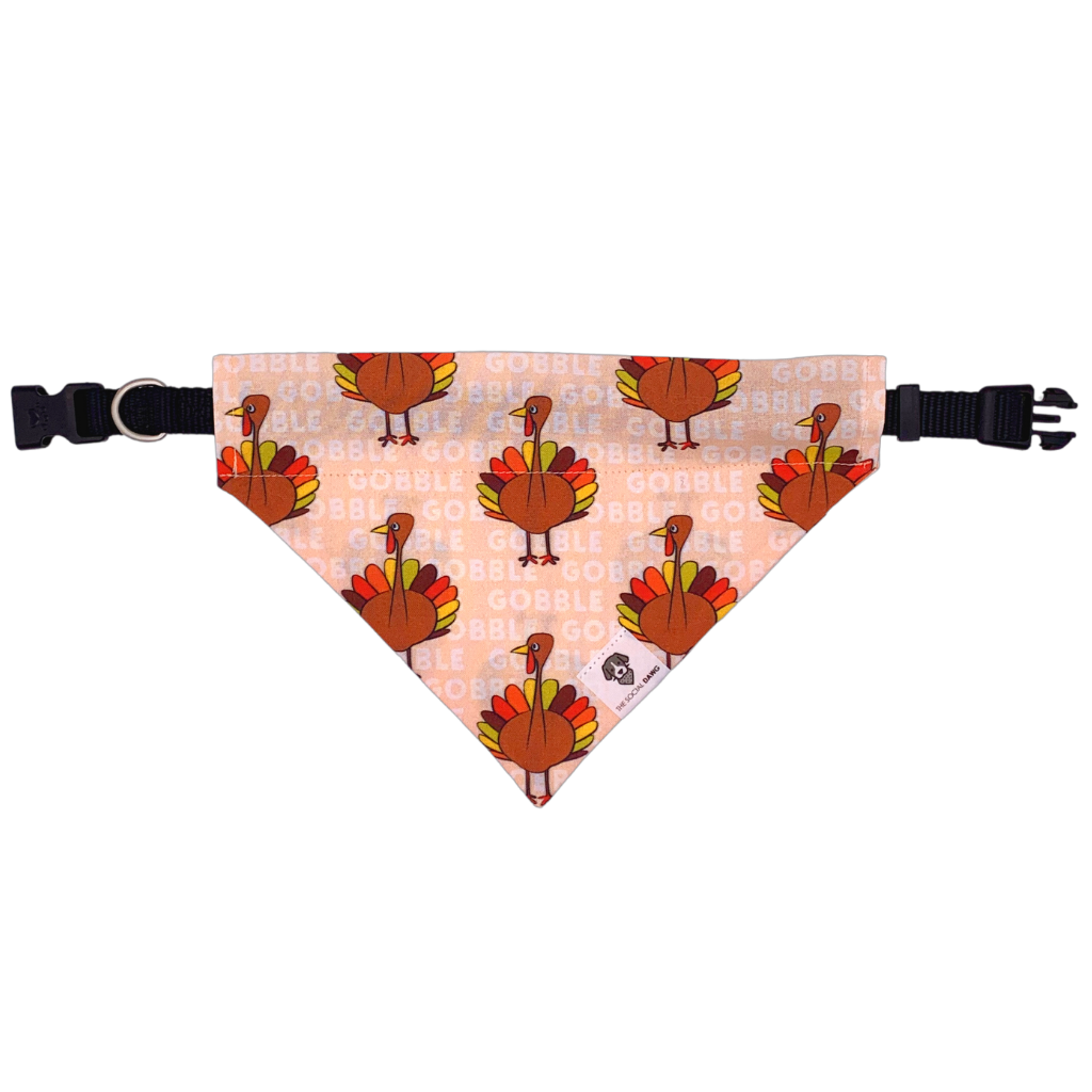 Gobble turkey Thanksgiving over the collar dog bandana