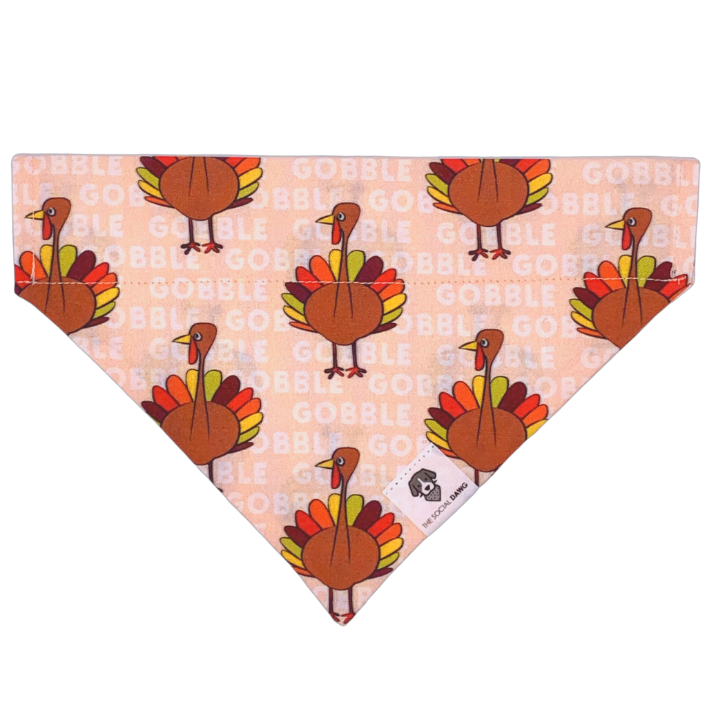 Gobble turkey Thanksgiving slip on dog bandana