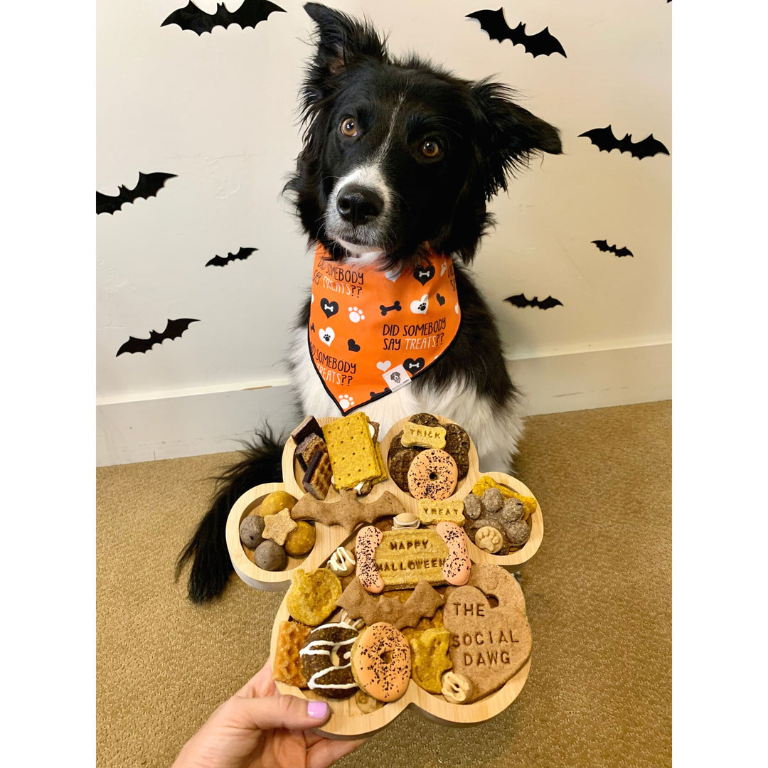Halloween Paw Shaped Dog Barkuterie Board