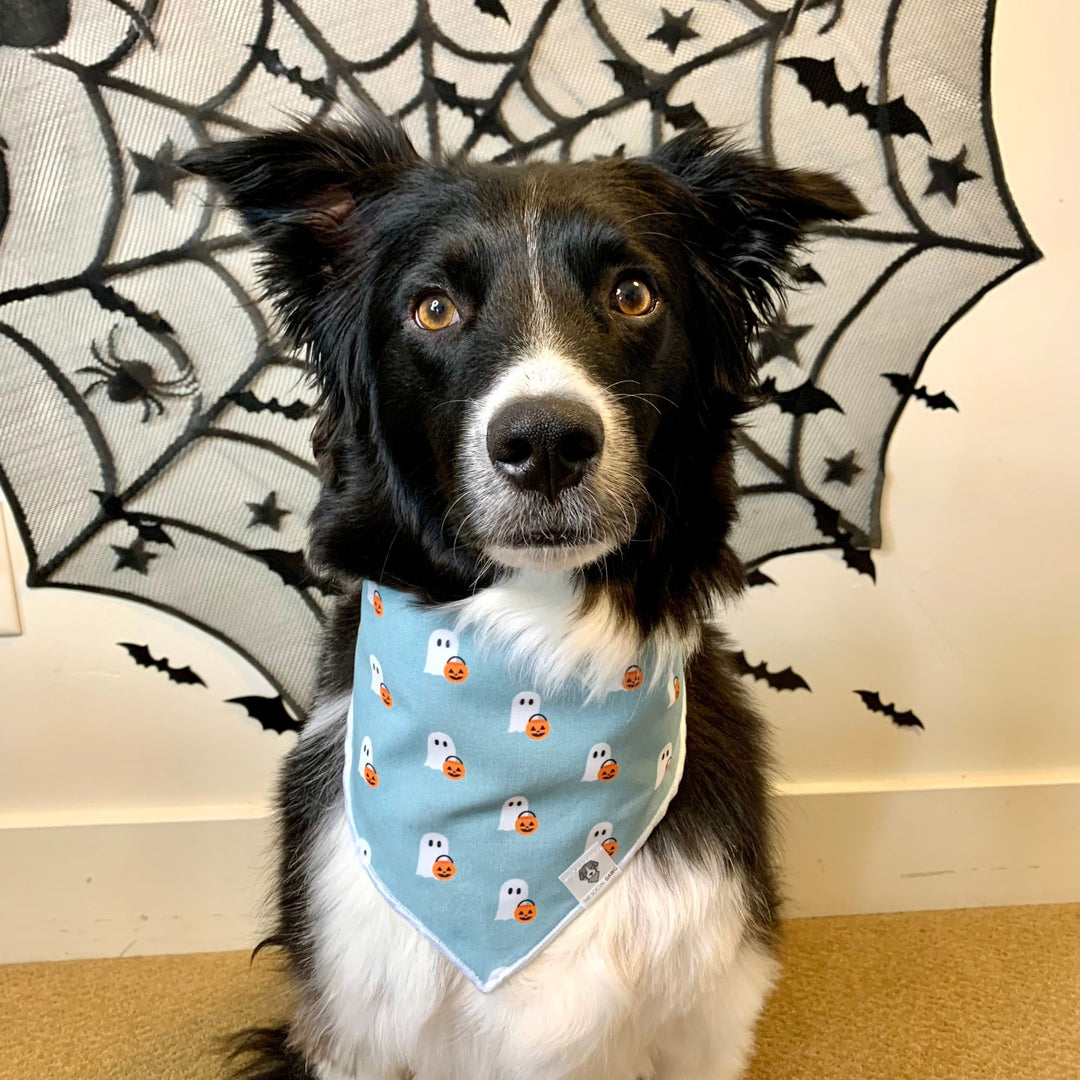 Cute Ghosts Halloween Tie-On Dog Bandana