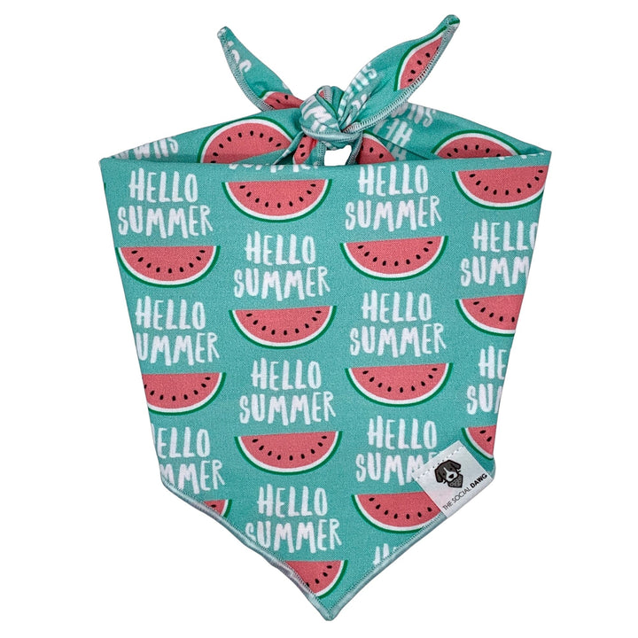 Hello Summer Watermelon Tie-On Dog Bandana