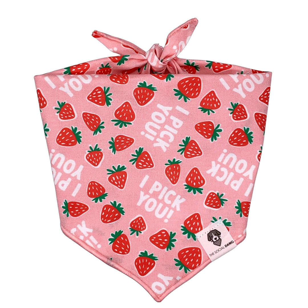 I Pick You Strawberry Tie-On Dog Bandana