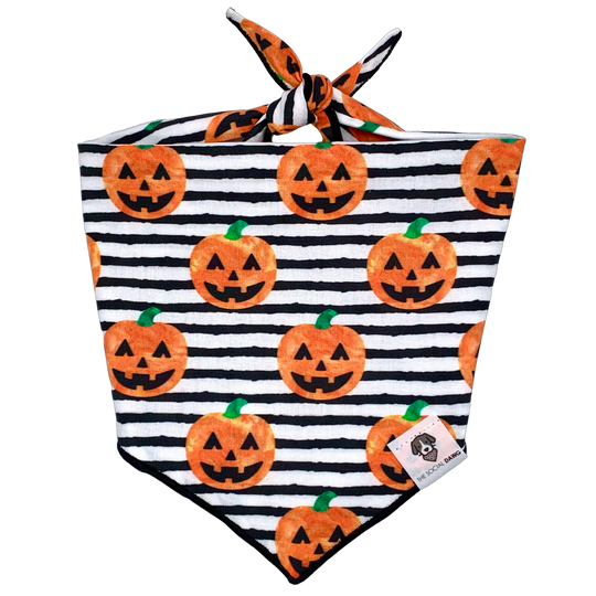 Handmade Halloween Bandanas For Dogs | The Social Dawg