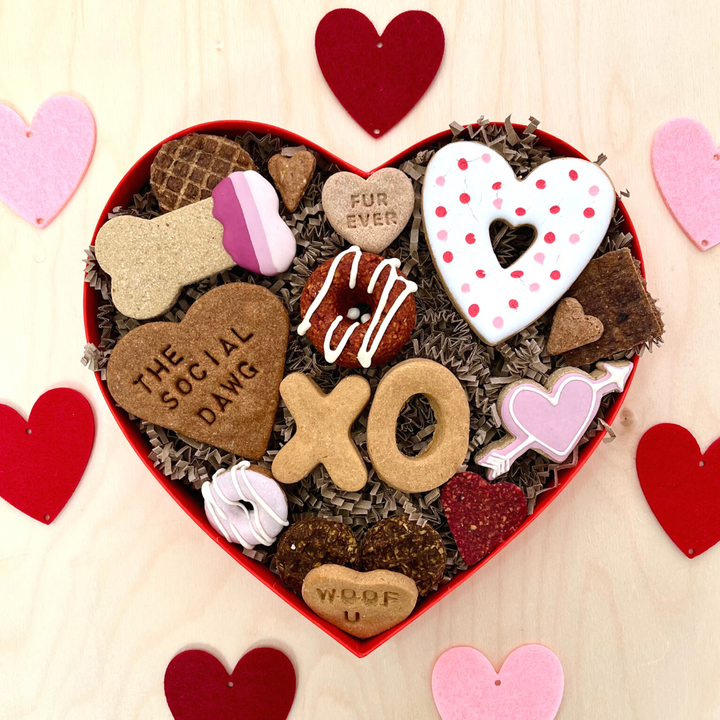 Mini Valentine's Day Heart Dog Barkuterie Board