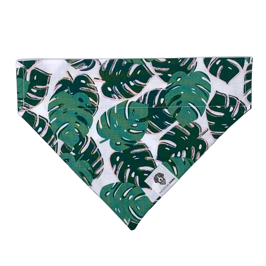 monstera dogs Monstera Leaves Slip-On Dog Bandana – The Social Dawg
