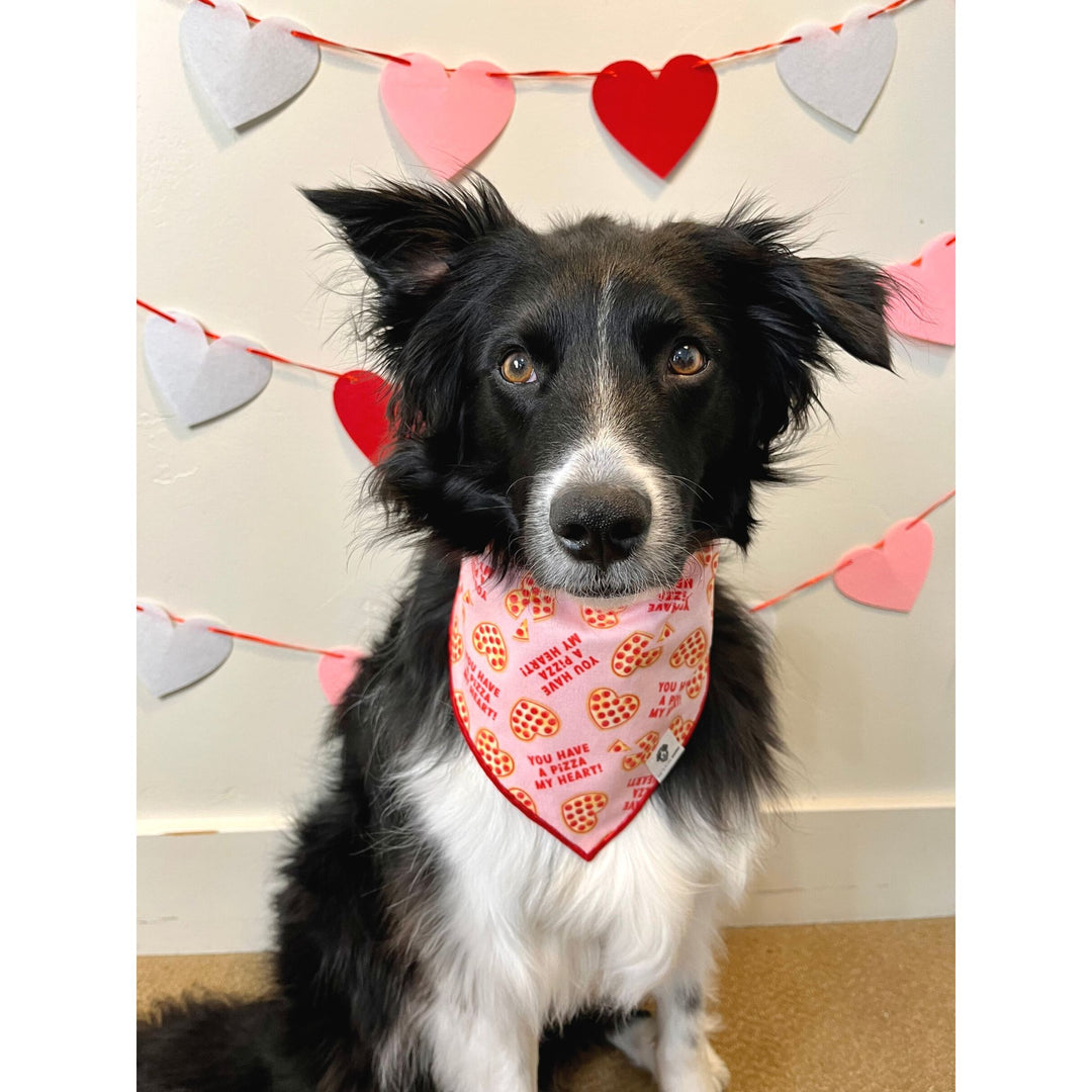 You Have a Pizza My Heart Tie-On Dog Bandana