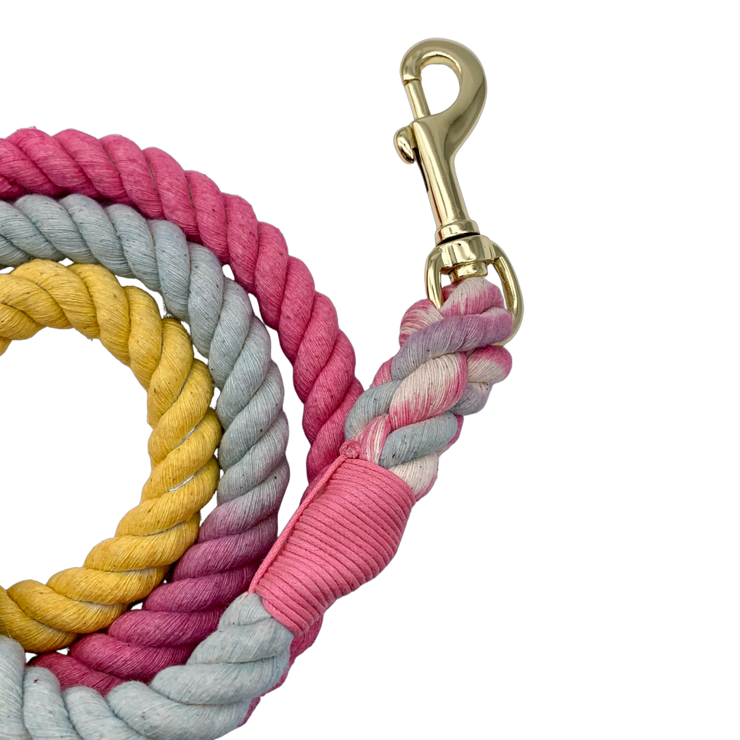 Rainbow Ombré Cotton Rope Dog Leash