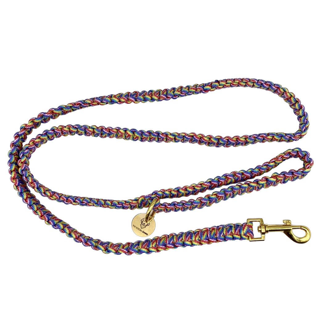 Rainbow nylon paracord rope dog leash