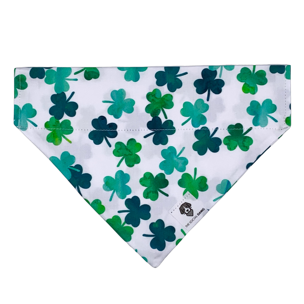 St. Patrick's day shamrocks green dog bandana